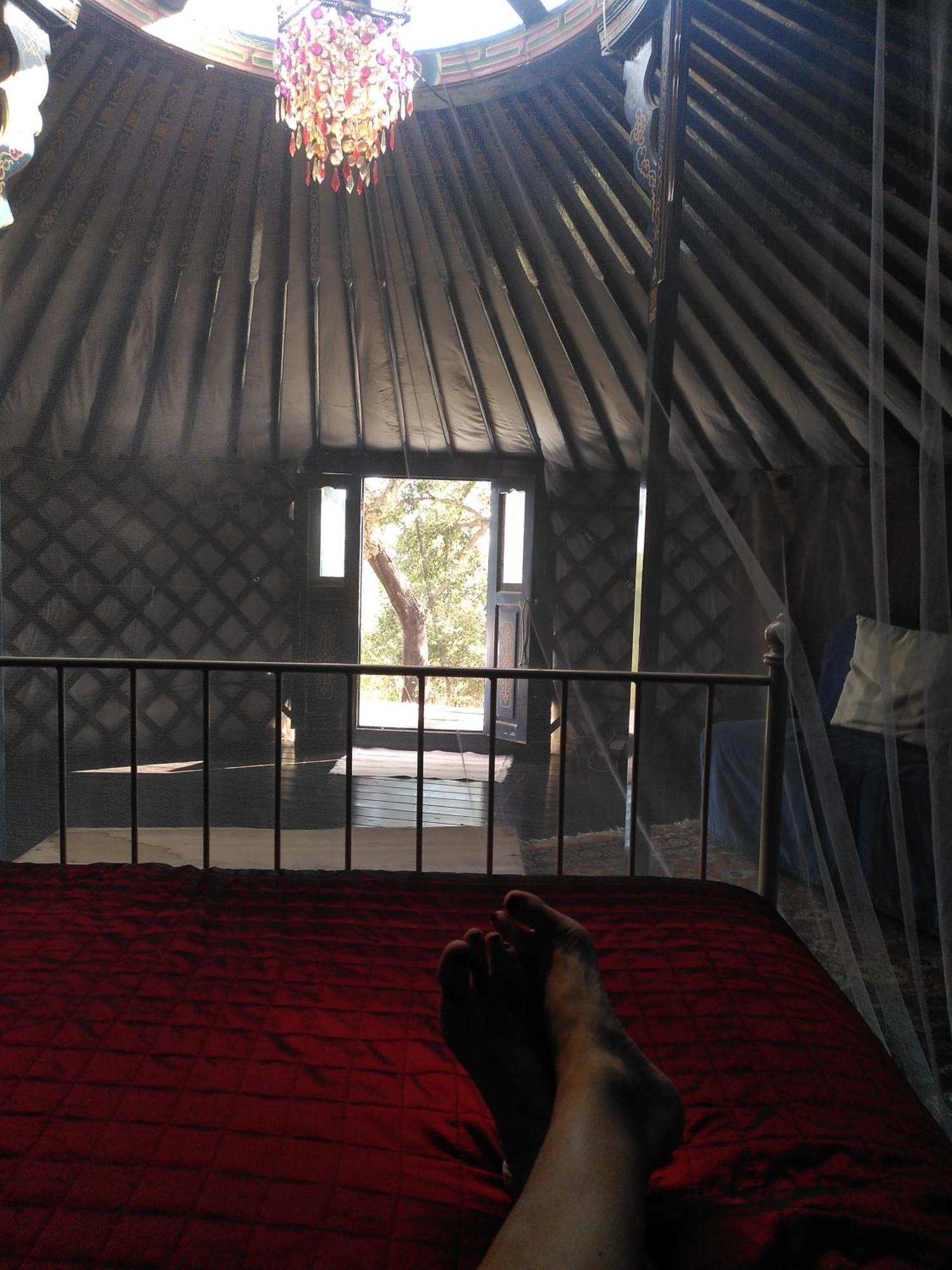 Eco Glamping Portugal Nature Lodge São Luis Kültér fotó
