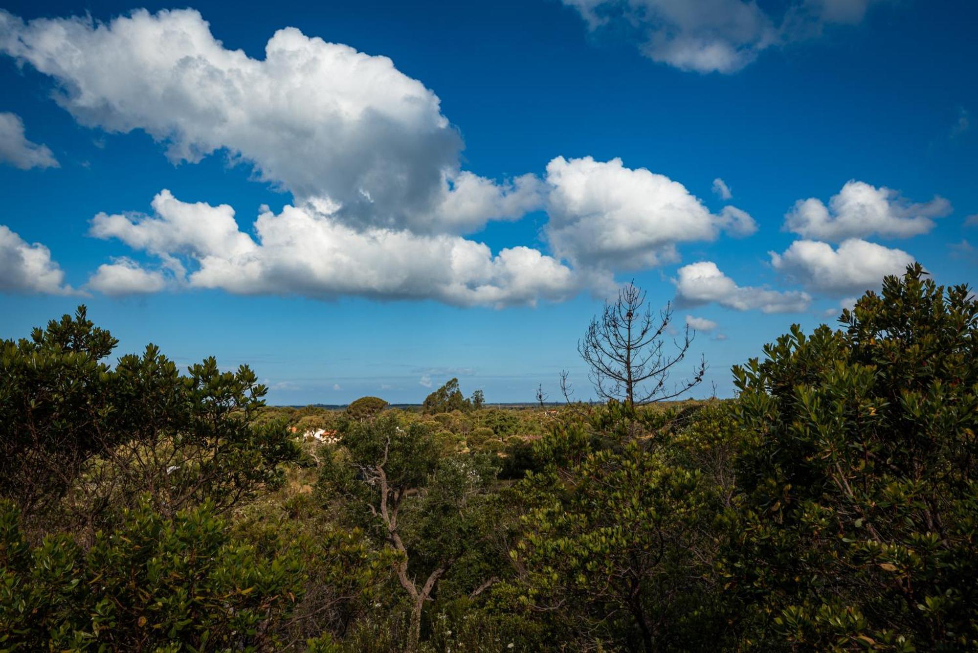 Eco Glamping Portugal Nature Lodge São Luis Kültér fotó