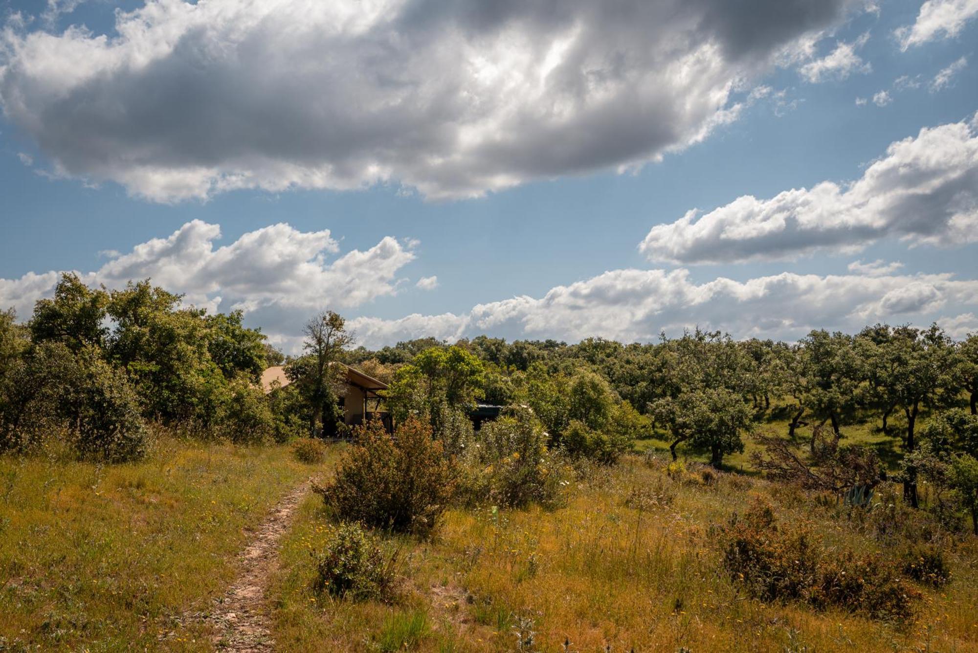 Eco Glamping Portugal Nature Lodge São Luis Kültér fotó
