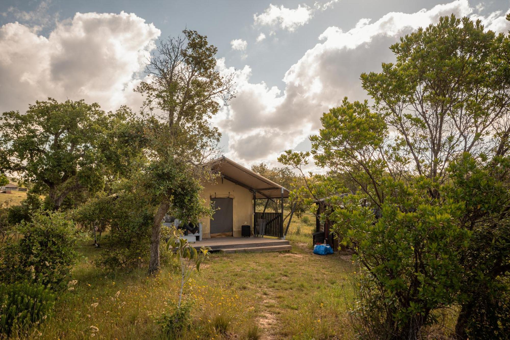Eco Glamping Portugal Nature Lodge São Luis Kültér fotó
