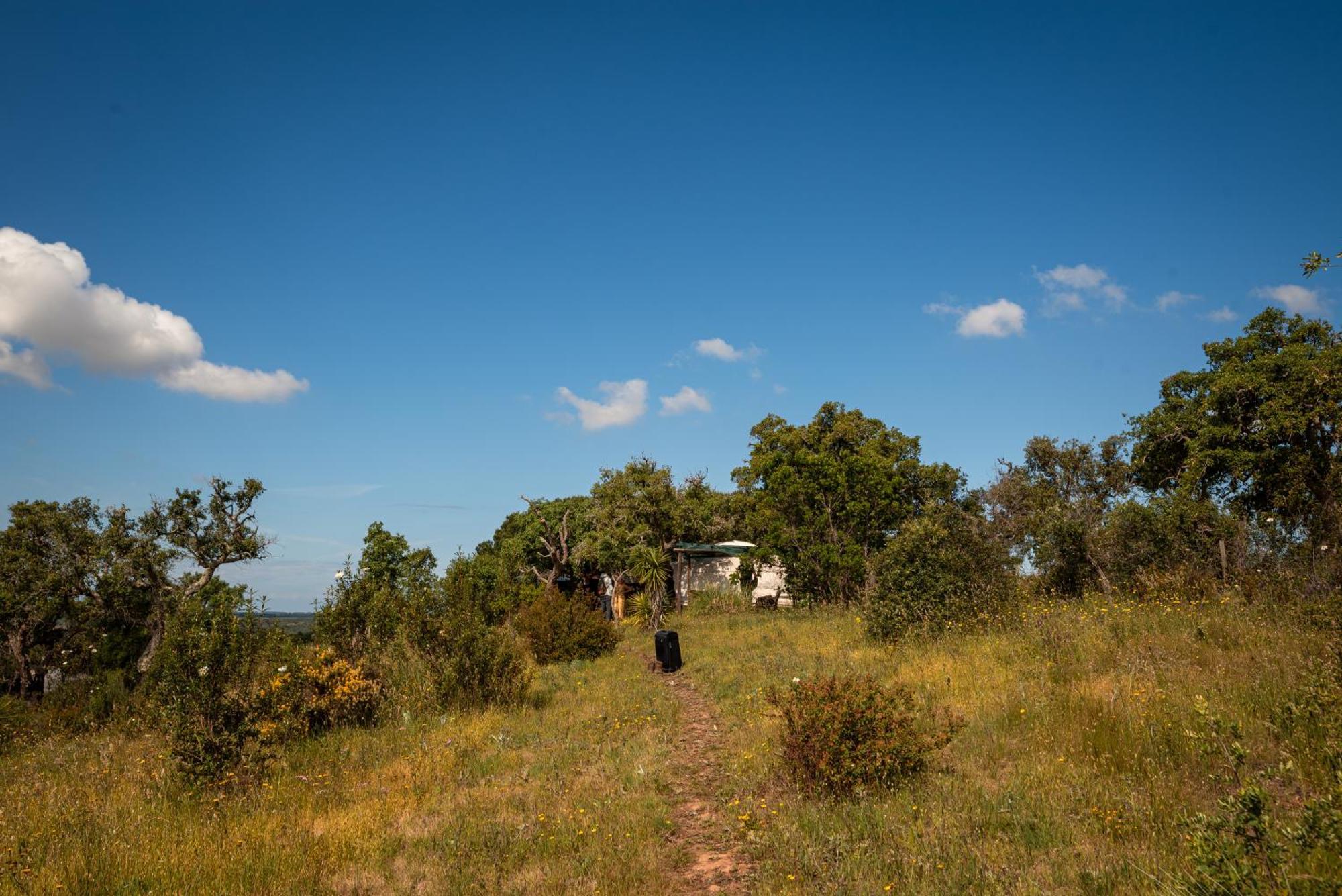 Eco Glamping Portugal Nature Lodge São Luis Kültér fotó