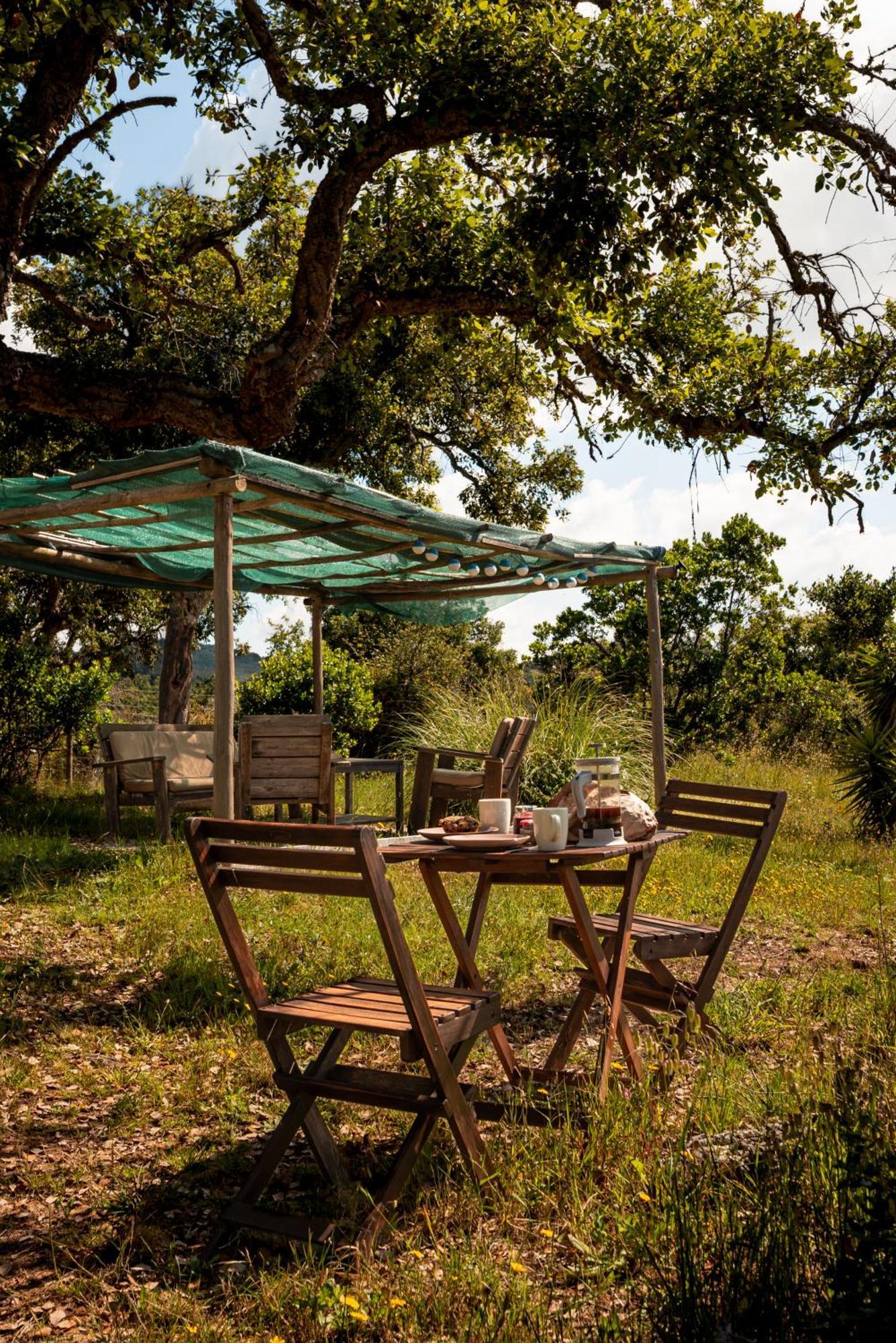 Eco Glamping Portugal Nature Lodge São Luis Kültér fotó